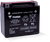 Yuasa YTX20-BS Maintenance Free AGM 12-Volt Battery w/Bottle - YUAM32RBS