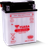 Yuasa YB12C-A Yumicron 12-Volt Battery - YUAM222CA
