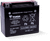 Yuasa YTX20H-BS High Performance AGM 12-Volt Battery w/Bottle - YUAM62RBH