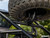 Polaris RZR Trail 900 Spare Tire Carrier - view 3