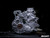 Polaris RZR Trail S 900 Complete Heavy-Duty Transmission