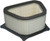 AIR FILTER | 551-3907