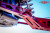 HCR Racing RZR-05800 Polaris RZR XP 1000/Turbo Duner Mid-Travel Suspension Kit - view 8