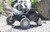 Can-Am Maverick R X RS 2ST Stage 1 Spring Kit (2024) - view 3