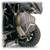DRT Aluminum Exhaust Cover - Polaris Xpedition - view 5