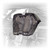 DRT Aluminum Air Intake Vent - Can-Am Maverick R