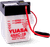 Yuasa 6N4C-1B Conventional 6-Volt Battery