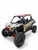 Elektric Offroad 2020+ Kawasaki Krx 1000 - view 30