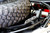 Elektric Offroad 2017-2024 Can Am X3 Maverick Volt Baja Tire Rack - view 10