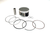 PISTON KIT 91.96/STD HON