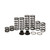 Polaris RZR RS1 Stage 1 Dual Rate Spring Kit (Walker Evans Shock)