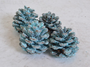 Magical Campfire Cones 4 Pack Magical Campfire Cones 4 Pack