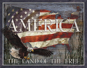 America Land of Free America Land of Free