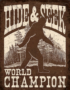 Bigfoot Hide & Seek Bigfoot Hide & Seek
