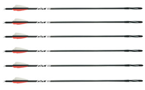AXE AX10001 6-PACK BOLTS AXE AX10001 6-PACK BOLTS