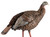 AVIAN AVXAVX8106 HDR HEN                     DECOY