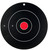 BIR 35070          DIRTYBRD 12"BULLSEYE      100PK