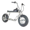 Rascal GT Minibike Cruiser Kit (RASCALGTCRUISER) with 130/90-10 Street Tires