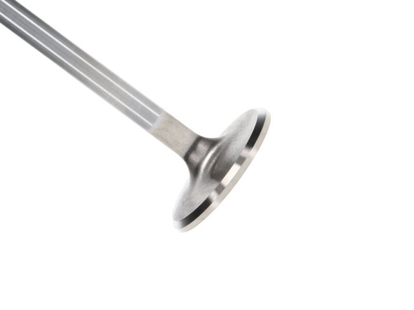 MAN Race Master Valves