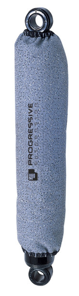 PGR 512 Shocks