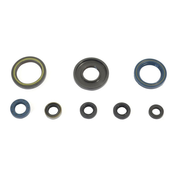 Athena 84-89 KTM 250 GS-MX Engine Oil Seal Kit - ATHENAP400270400033