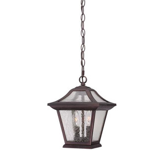 Aiken Two Light Hanging Lantern in Architectural Bronze (106|39016ABZ)