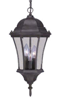 Bryn Mawr Three Light Hanging Lantern in Matte Black (106|5026BK)