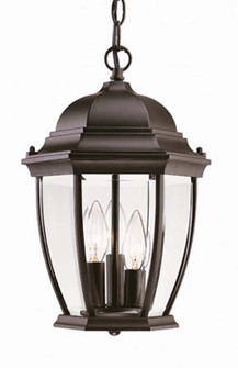 Wexford Three Light Hanging Lantern in Matte Black (106|5036BK)