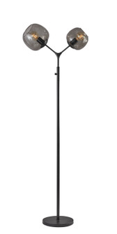 Ashton Two Light Floor Lamp in Matte Black (262|3439-01)