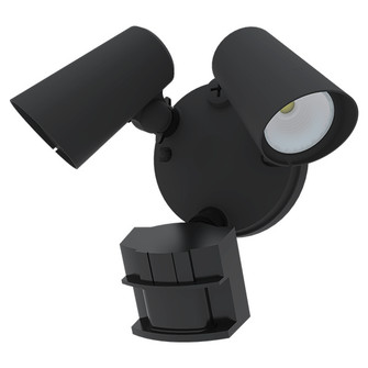 Fora Security Light in Black (303|FL2-3CCT-BK)