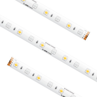 High Output LED Tape in White (303|HTL-RGBW-100)