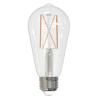 Filaments: Light Bulb in Clear (427|776767)