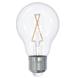 Filaments: Light Bulb in Clear (427|776871)