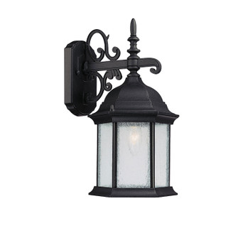 Main Street One Light Outdoor Wall Lantern in Black (65|9833BK)