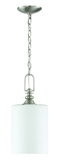 Dardyn One Light Mini Pendant in Brushed Polished Nickel (46|49891-BNK)