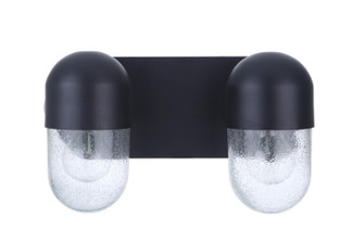 Pill Two Light Vanity in Flat Black (46|55002-FB)