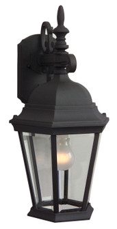 Straight Glass Cast One Light Wall Mount in Textured Black (46|Z254-TB)