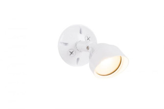 LED Flood LED Outdoor Flood in White (46|Z421-W-LED)