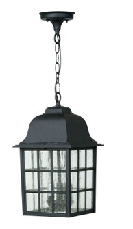 Grid Cage Cast Three Light Pendant in Textured Black (46|Z571-TB)