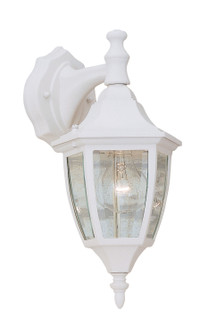 Builder Cast Aluminum One Light Wall Lantern in White (43|2461-WH)