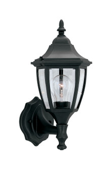 Builder Cast Aluminum One Light Wall Lantern in Black (43|2462-BK)