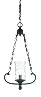 Amilla One Light Mini Pendant in Natural Iron (43|92330-NI)