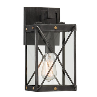 Shady Glen One Light Wall Lantern in Weathered Pewter (43|D242M-7OW-WP)