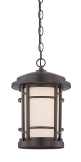 Barrister LED Hanging Lantern in Burnished Bronze (43|LED22434-BNB)