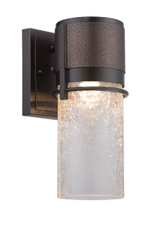 Baylor LED Wall Lantern in Burnished & Flemish Bronze (43|LED32921-BBZ)