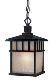 Barton One Light Hanging Lantern in Winchester (41|9113-68)