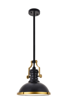 Eamon One Light Pendant in Matte black (173|LD5001D13BRB)