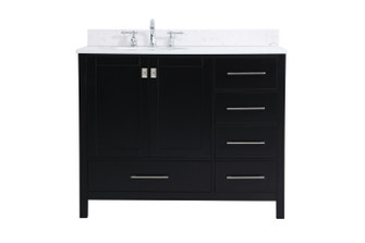 Irene Bathroom Vanity Set in Black (173|VF18842BK-BS)