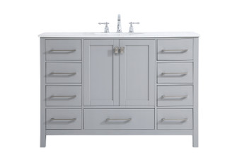 Irene Single Bathroom Vanity in Gray (173|VF18848GR)