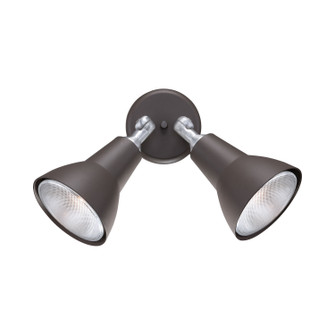 Outdoor Essentials Two Light Outdoor Wall Sconce in Black (45|SL494227)